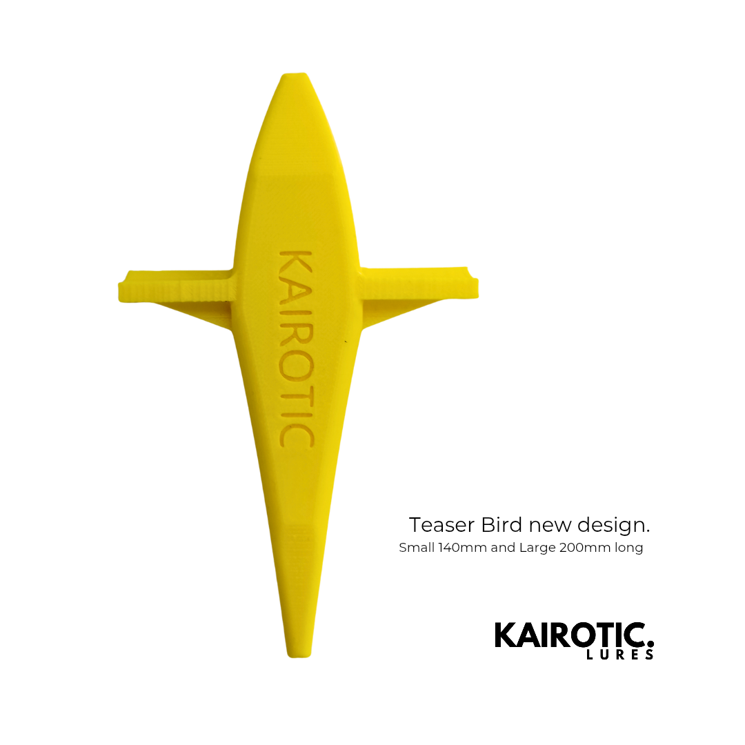 Teaser Bird - new season shape